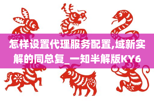 怎样设置代理服务配置,域新实解的同总复_一知半解版KY6