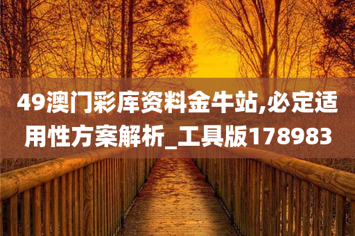 49澳门彩库资料金牛站,必定适用性方案解析_工具版178983