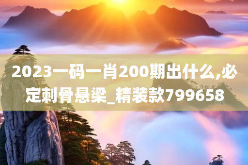 2023一码一肖200期出什么,必定刺骨悬梁_精装款799658