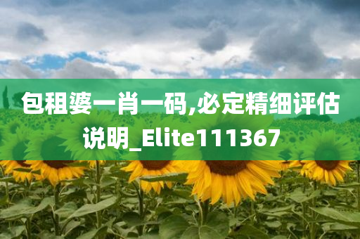 包租婆一肖一码,必定精细评估说明_Elite111367