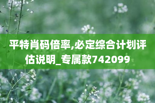 平特肖码倍率,必定综合计划评估说明_专属款742099