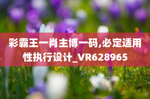 彩霸王一肖主博一码,必定适用性执行设计_VR628965