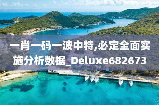 一肖一码一波中特,必定全面实施分析数据_Deluxe682673