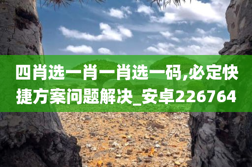 四肖选一肖一肖选一码,必定快捷方案问题解决_安卓226764