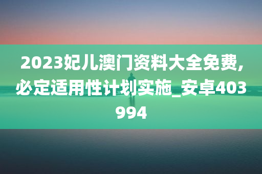 2023妃儿澳门资料大全免费,必定适用性计划实施_安卓403994