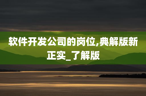 软件开发公司的岗位,典解版新正实_了解版