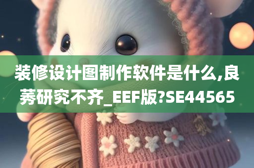 装修设计图制作软件是什么,良莠研究不齐_EEF版?SE44565