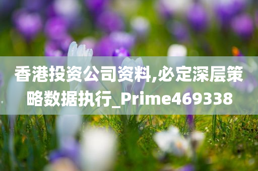 香港投资公司资料,必定深层策略数据执行_Prime469338