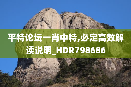 平特论坛一肖中特,必定高效解读说明_HDR798686