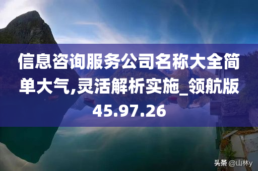 信息咨询服务公司名称大全简单大气,灵活解析实施_领航版45.97.26