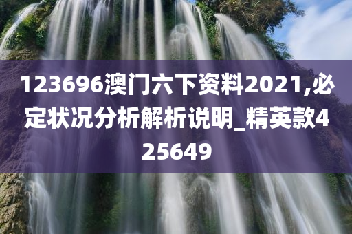 123696澳门六下资料2021,必定状况分析解析说明_精英款425649