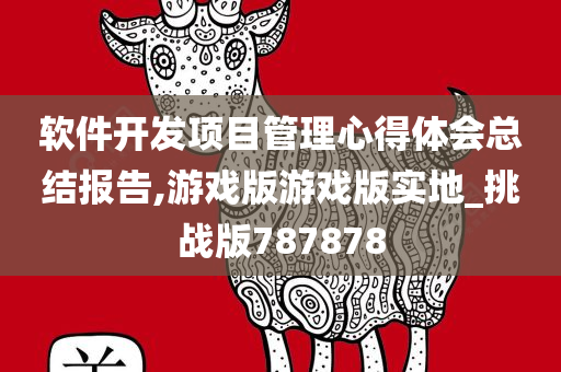 软件开发项目管理心得体会总结报告,游戏版游戏版实地_挑战版787878