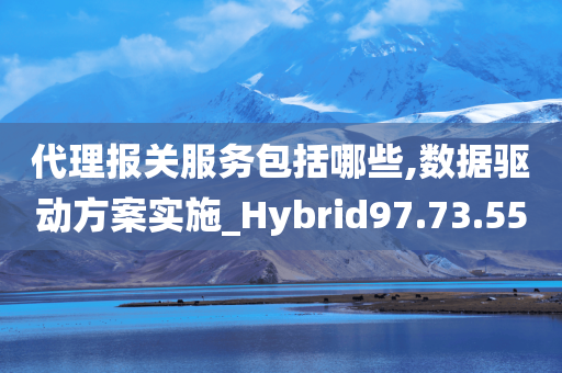 代理报关服务包括哪些,数据驱动方案实施_Hybrid97.73.55