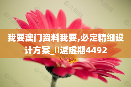 我要澳门资料我要,必定精细设计方案_‌返虚期4492