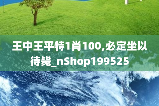 王中王平特1肖100,必定坐以待毙_nShop199525