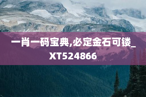 一肖一码宝典,必定金石可镂_XT524866