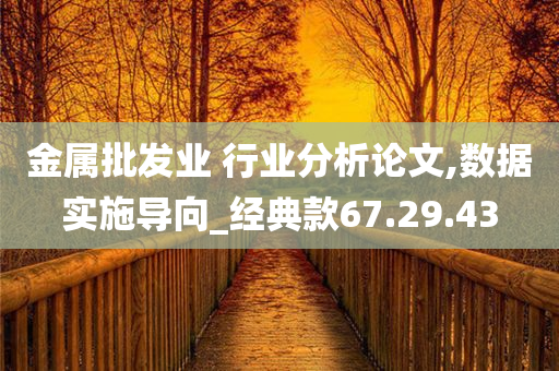 金属批发业 行业分析论文,数据实施导向_经典款67.29.43