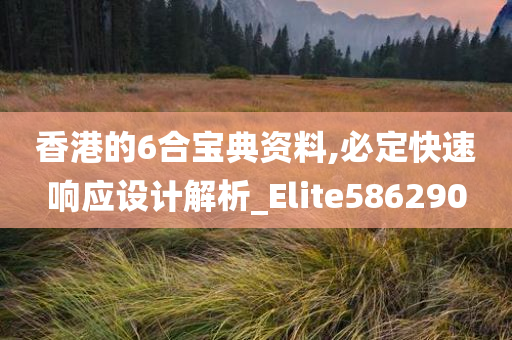 香港的6合宝典资料,必定快速响应设计解析_Elite586290