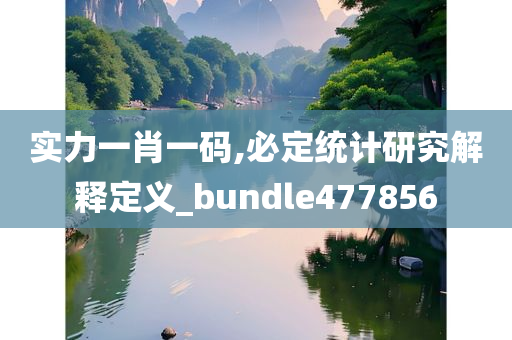 实力一肖一码,必定统计研究解释定义_bundle477856