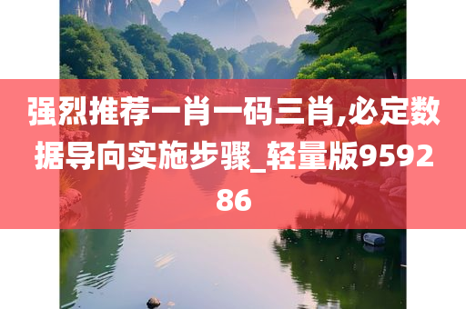 强烈推荐一肖一码三肖,必定数据导向实施步骤_轻量版959286