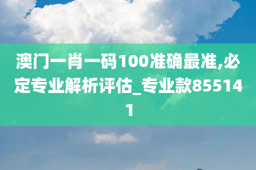 澳门一肖一码100准确最准,必定专业解析评估_专业款855141