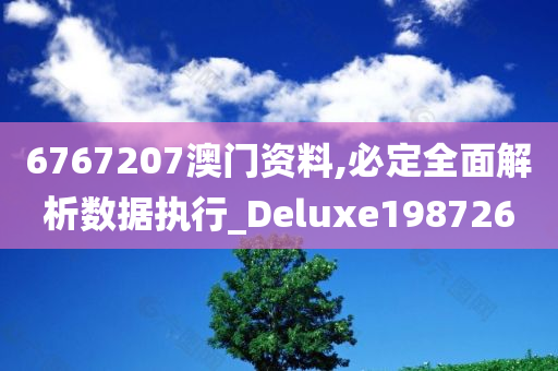 6767207澳门资料,必定全面解析数据执行_Deluxe198726