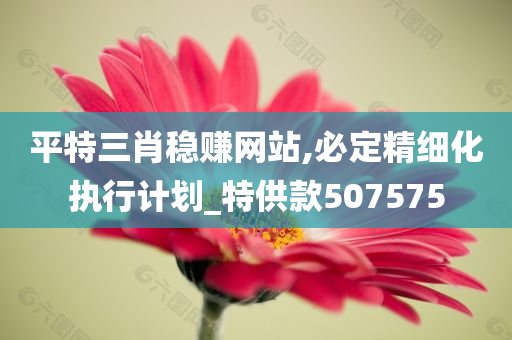 平特三肖稳赚网站,必定精细化执行计划_特供款507575