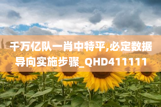 千万亿队一肖中特平,必定数据导向实施步骤_QHD411111