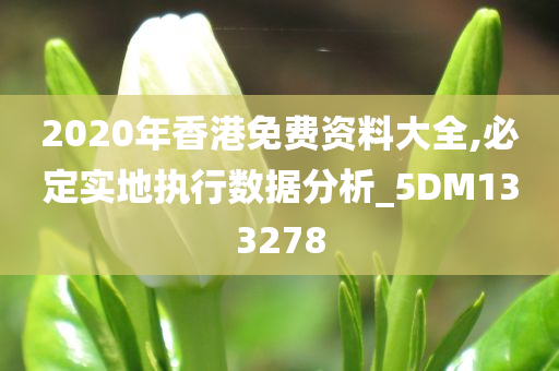 2020年香港免费资料大全,必定实地执行数据分析_5DM133278