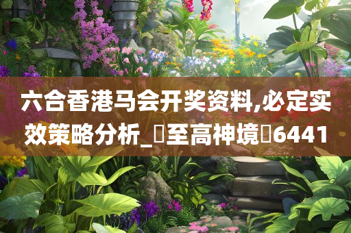 六合香港马会开奖资料,必定实效策略分析_‌至高神境‌6441