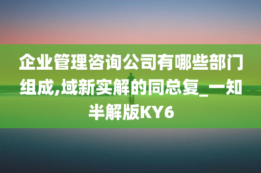 企业管理咨询公司有哪些部门组成,域新实解的同总复_一知半解版KY6