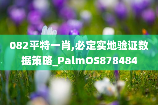 082平特一肖,必定实地验证数据策略_PalmOS878484