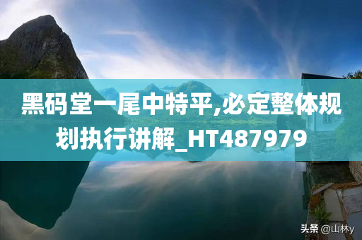 黑码堂一尾中特平,必定整体规划执行讲解_HT487979