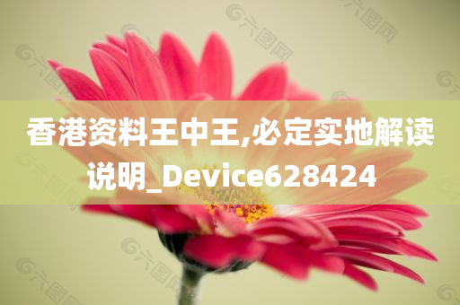 香港资料王中王,必定实地解读说明_Device628424