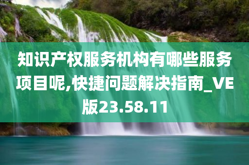 知识产权服务机构有哪些服务项目呢,快捷问题解决指南_VE版23.58.11