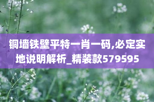 铜墙铁壁平特一肖一码,必定实地说明解析_精装款579595