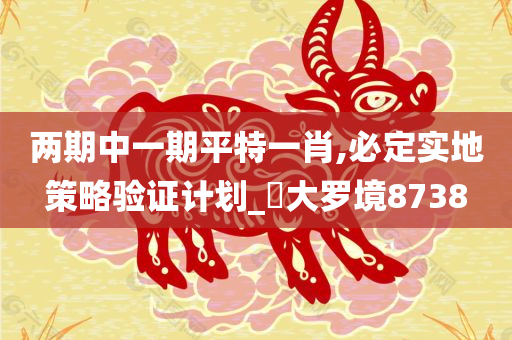 两期中一期平特一肖,必定实地策略验证计划_‌大罗境8738