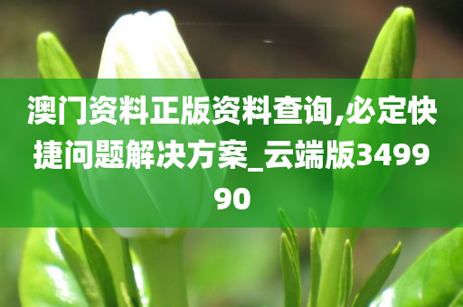 澳门资料正版资料查询,必定快捷问题解决方案_云端版349990