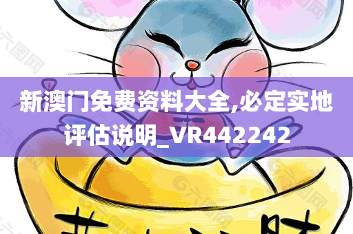 新澳门免费资料大全,必定实地评估说明_VR442242