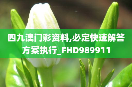 四九澳门彩资料,必定快速解答方案执行_FHD989911