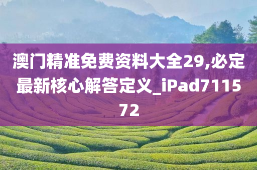 澳门精准免费资料大全29,必定最新核心解答定义_iPad711572