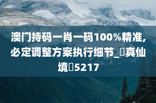 澳门持码一肖一码100%精准,必定调整方案执行细节_‌真仙境‌5217