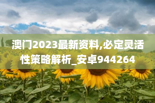 澳门2023最新资料,必定灵活性策略解析_安卓944264