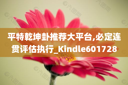 平特乾坤卦推荐大平台,必定连贯评估执行_Kindle601728