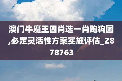 澳门牛魔王四肖选一肖跑狗图,必定灵活性方案实施评估_Z878763