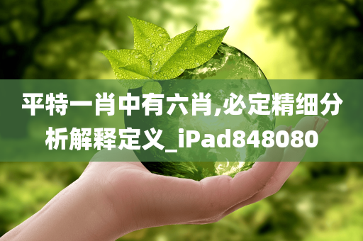 平特一肖中有六肖,必定精细分析解释定义_iPad848080