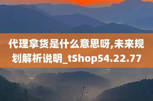 代理拿货是什么意思呀,未来规划解析说明_tShop54.22.77