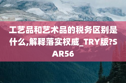 工艺品和艺术品的税务区别是什么,解释落实权威_TRY版?SAR56