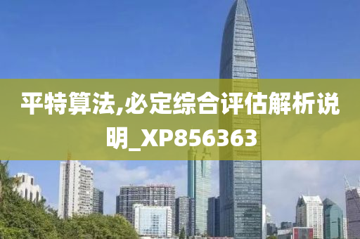 平特算法,必定综合评估解析说明_XP856363