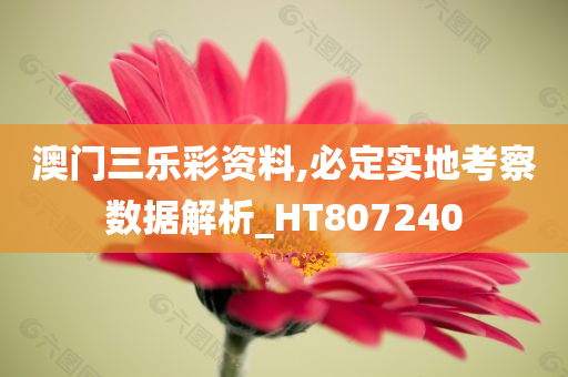 澳门三乐彩资料,必定实地考察数据解析_HT807240